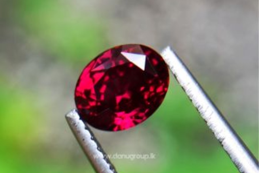 Red Sapphire 